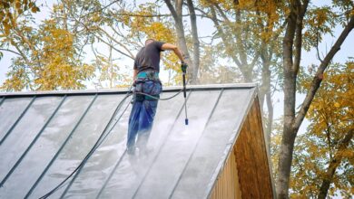 Professional Commercial Roof Cleaning Services for Long-Lasting Roof Protection