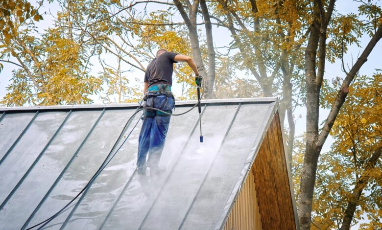 Professional Commercial Roof Cleaning Services for Long-Lasting Roof Protection