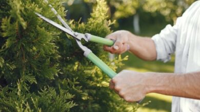 Transforming Your Outdoor Space: Key Services to Boost Safety and Aesthetic Appeal