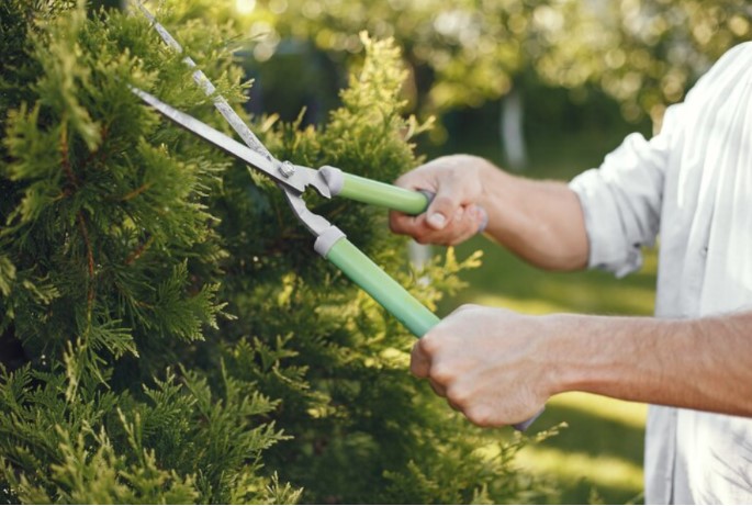 Transforming Your Outdoor Space: Key Services to Boost Safety and Aesthetic Appeal Transforming Your Outdoor Space: Key Services to Boost Safety and Aesthetic Appeal